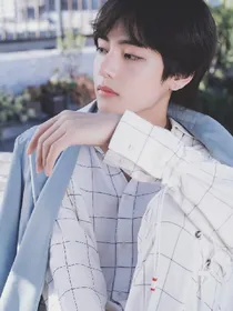 BTS:经年情书