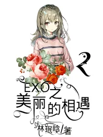 EXO之美丽的相遇2-SM被买下后