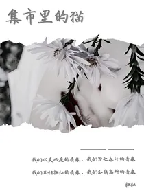 集市里的猫
