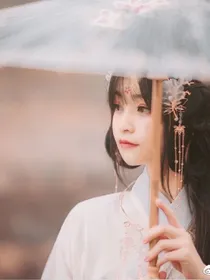 向葵橙光素材铺