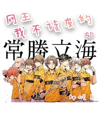 网王，我不该皮的（SD排球）