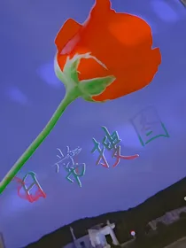日常搜图