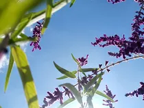 逗趣的生活