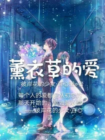 斗龙战士之薰衣草的爱