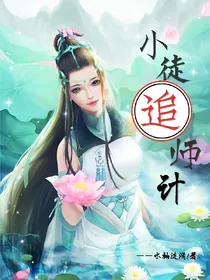 小徒追师计