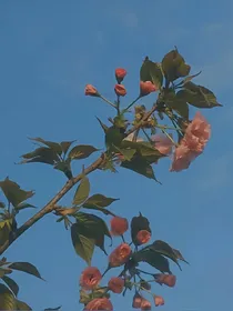 EXO短文杂货铺