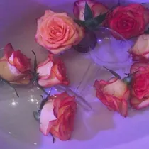 边伯贤：助理有点憨