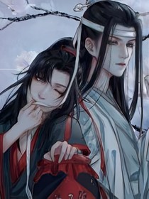 陈情令蓝夫人在此-d110