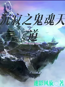 沉寂之鬼魂天道