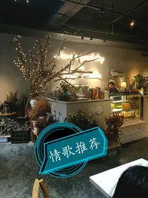 情歌推荐