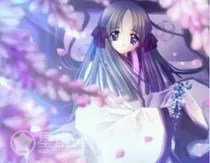 校园三学霸