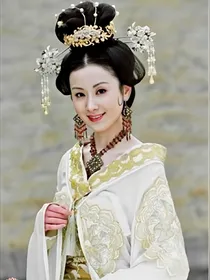 穿越杨家之我是帝王妻