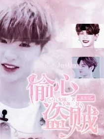 -偷心盗贼-