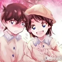 名侦探柯南——新兰