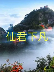 仙君下凡