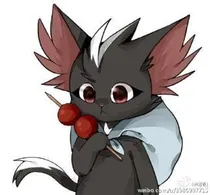 京剧猫混沌预测