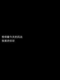 最后一份孤独