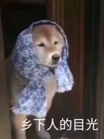 村花恋爱史
