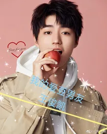 我的爱豆男友，王俊凯
