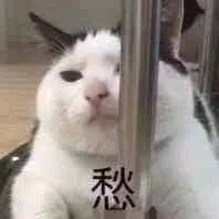 快穿之我只是个女配