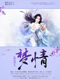 霹雳布袋戏之梦情