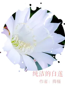 纯洁的白莲