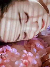 香蜜终究是梦续写