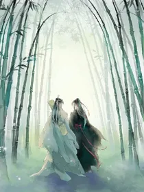 陈情令之提线木偶
