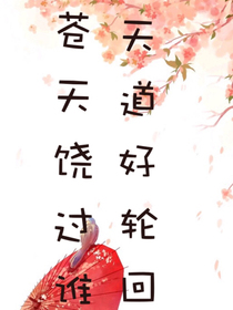 魔道之天道好轮回