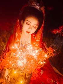 雪莲与彼岸