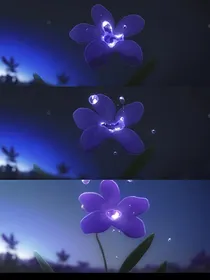 星学院之紫罗兰的遗憾