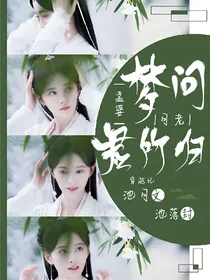 梦问君所归