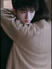我的狼性总裁王俊凯