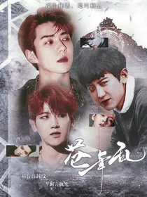 苍年乱