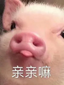 记录.随笔