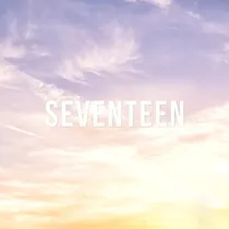 seventeen图册