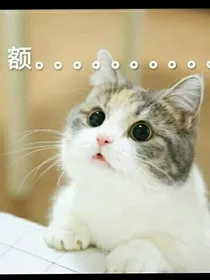 表情包库