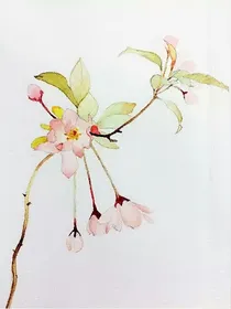 戏子无情（短）