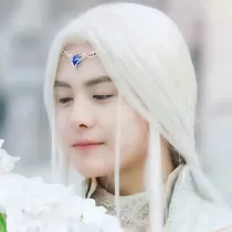 综影视之姑姑（主幻城）