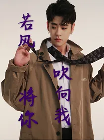 张云雷-若风将你吹向我