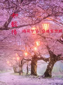 如懿传：修花梦影穿越紫禁城