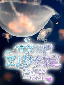 查理九世.幻梦约定