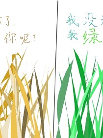 没有名字，反正是关于第五的