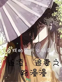 追凌:追妻之路漫漫