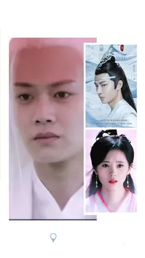 陈情令之桃之夭夭灼灼其华