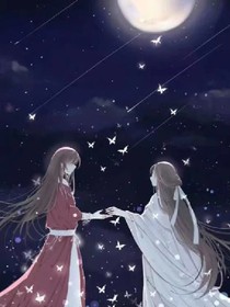 轮回之蝶