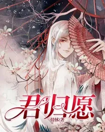 君归愿