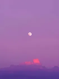 什么壁纸库