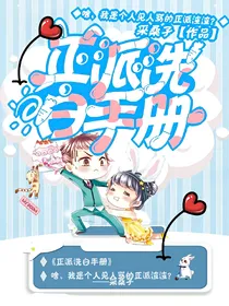 正派洗白手册