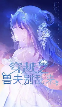 穿越之兽夫别乱来
